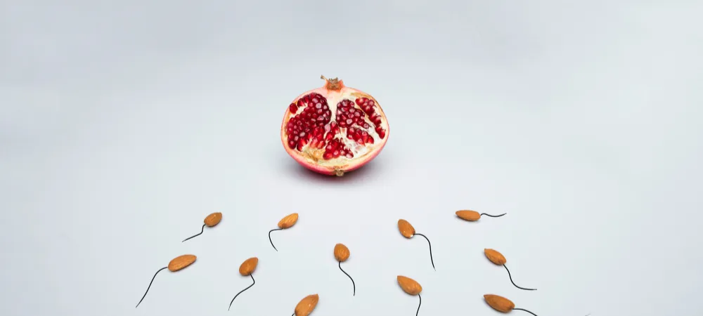 Sperm cells heading toward an open pomegranate, a symbol of fertility